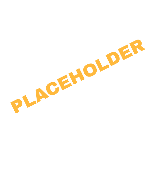 placeholder for future image